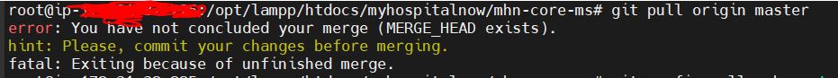 You have not concluded your merge (MERGE_HEAD exists)