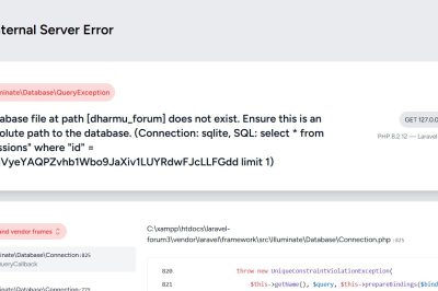 Database (database/database.sqlite) does not exist. The database works from artisan tinker