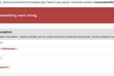SQLSTATE[01000]: Warning: 1265 Data truncated for column