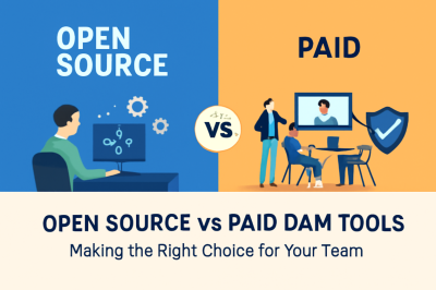 Open Source vs Paid DAM Solutions: A Comprehensive Comparison